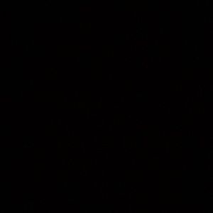 Meet your Posher, Richard